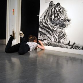 drawing tiger